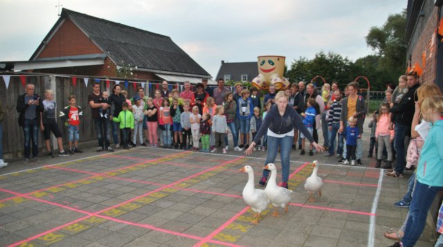 Kans met een Gans (zondag 22 oktober 2017)